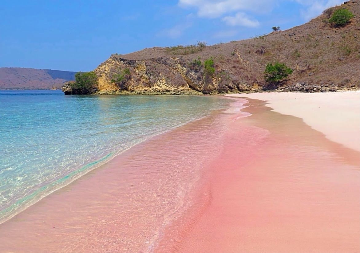 Keajaiban Dunia Pantai Pink Pulau Komodo