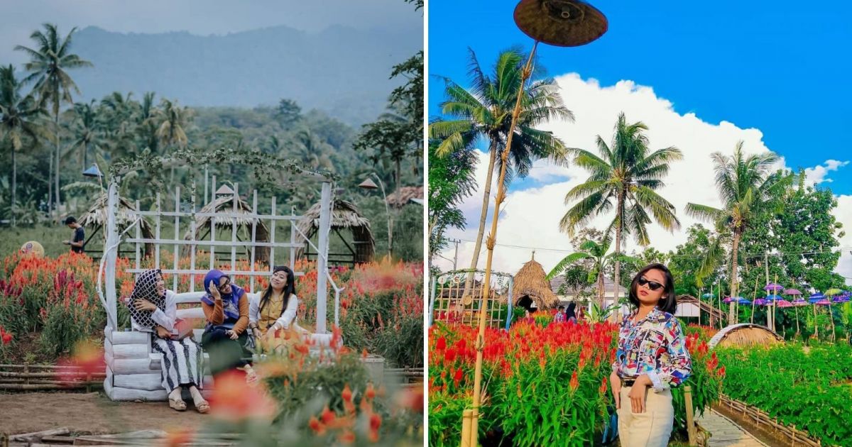 Taman Seven Selfie, Penuh Bunga dan Wahana
